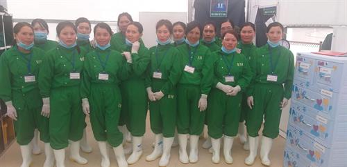 Công ty TNHH Nông Nghiệp DVN – Sản Xuất Hạt Giống Rau Lai F1 Tại Lâm Đồng